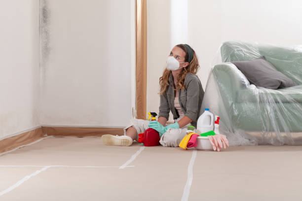 Reliable Mold Testing contractor in Long Beach, MD by WQB Mold Removal